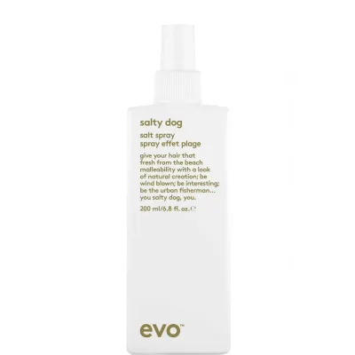 Солевой спрей EVO Salty Dog Salt, пляжная текстура, матовый эффект, 200 мл