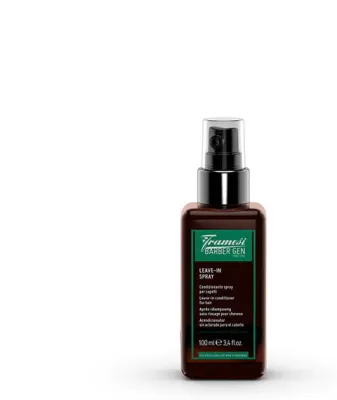 Спрей-кондиционер Framesi Barber Gen Leave-In несмываемый, увлажняющий, мужской, 100 мл