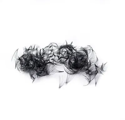 Пучки ресниц Wonder Lashes Easy Volume Fans 10D, для наращивания, готовые, оттенок DŁ.14
