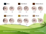 Хна для бровей Wonder Lashes Wonder Brow Henna, с эффектом татуажа, оттенок Black — фото 2