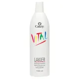 Лак для волос Catzy Vital, очень сильной фиксации, 1000 мл — фото 1