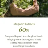 Гель для умывания I'm from Mugwort Gel Cleanser, очищает поры, 150 мл — фото 5