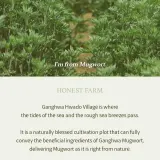 Гель для умывания I'm from Mugwort Gel Cleanser, очищает поры, 150 мл — фото 8
