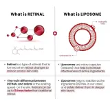 Сыворотка для лица KSECRET Seoul 1988 Serum Retinal Liposome 2% + Black Ginseng с ретиналем, вечерняя, 30 мл — фото 4