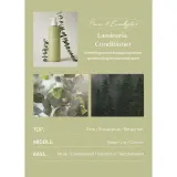 Кондиционер для волос LaFerme Laminaria Pine and Eucalyptus для гладкости, для сухих и повреждённых волос, 1000 мл — фото 5