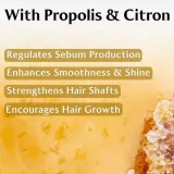 Шампунь Lador Root Re-boot Vitalizing Propolis and Citron очищающий, освежающий, 800 мл — фото 7
