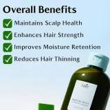 Шампунь Lador Root Re-boot Activating Cica and Tea Tree освежающий, для жирной кожи головы, 350 мл — фото 6