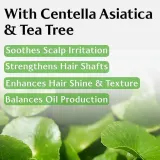 Шампунь Lador Root Re-boot Activating Cica and Tea Tree освежающий, для жирной кожи головы, 350 мл — фото 8