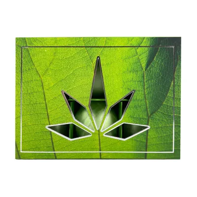 Набор бомбочек для ванны Wellness Premium Products, зелёный, с морской солью, 6 шт