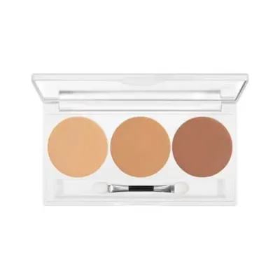 Палетка камуфлирующих кремов Kryolan Dermacolor Camouflage Creme, 3 оттенка