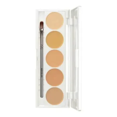 Палетка камуфлирующих кремов Kryolan Dermacolor Camouflage Creme Quintett, 5 оттенков, набор DQ 1, 15 г