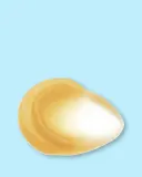 Крем для лица Skin1004 Madagascar Centella Soothing Cream успокаивающий, для сухой и обезвоженной кожи, 75 мл — фото 6