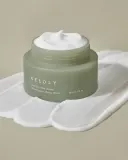 Успокаивающий крем для лица Needly Cicachid Relief Cream с охлаждающим эффектом, для сухой и раздражённой кожи, 48 мл — фото 3
