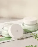 Ночной крем для лица Mizon Phyto Plump Collagen питательный, увлажняющий, 50 мл — фото 6
