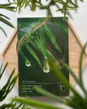 Тканевая маска для лица Dr. Ceuracle Tea Tree Purifine Soothing Mask успокаивающая, с чайным деревом, 10 шт. по 23 мл — фото 3