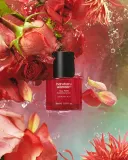 Сыворотка для лица Haruharu Wonder Rose PDRN Soothing Serum, успокаивающая, увлажняющая, 30 мл — фото 2