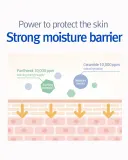 Крем-бальзам для лица Pyunkang Yul ATO Panthenol Ceramide Balm с пантенолом и керамидами, для чувствительной кожи, 30 мл — фото 4