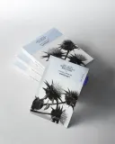 Тканевая маска для лица Rawquest Milk Thistle Brightening SPA Black Mask осветляющая, с расторопшей, 28 мл × 5 шт — фото 5
