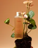 Тоник для лица Fraijour Alchemic Ginsenoside Herbal Rx Toner антивозрастной, с женьшенем, 250 мл — фото 3