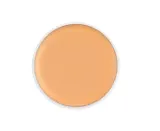 Тональная основа Kryolan Dermacolor Camouflage камуфлирующая, рефил, оттенок 25 — фото 1