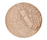 Пудра Kryolan Dermacolor Fixing Powder фиксирующая, оттенок P19 — фото 1