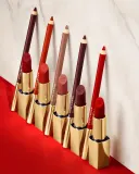 Estee Lauder Pure Color Matte Lipstick - Трендовая помада с матовым эффектом, оттенок Love Bite — фото 4