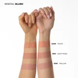Paese Mineral Line Blush - Минеральная румяна, 6 г, оттенок 300W peach — фото 6
