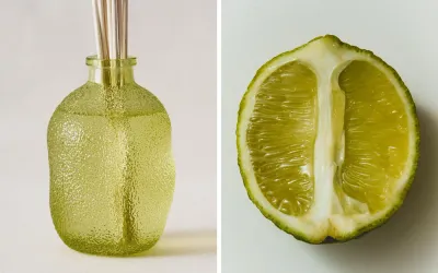 Zara Home Аромадиффузор Lime & Peppermint 435 мл, тростниковые палочки микадо, аромат свежий цитрусовый, Горчичный