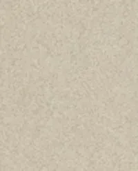 Zara Home Аромадиффузор Lime & Peppermint 180 мл, тростниковые палочки микадо, аромат свежий цитрусовый, Горчичный