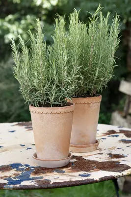 Горшок Bergs Potter Helena, керамика, 14 см, розовый