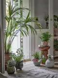 Кашпо Bloomingville Jenner, керамика, 16,5 см, зелёное — фото 3