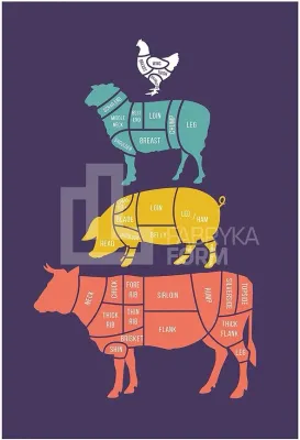 Панно Follygraph Meat Cuts kolorowy, бумага, 70 50 см