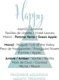 Ароматизатор для автомобиля Maison Berger Paris Aroma Happy — фото 4