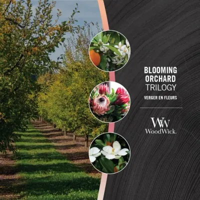 Свеча ароматическая WoodWick Trilogy Blooming Orchard