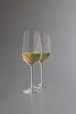 Бокал Eva Solo, Riesling, 400 мл, стекло — фото 1