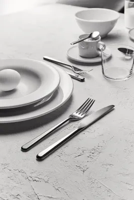 Столовый нож Alessi, Amici, нержавеющая сталь · арт. fabr BG02/6