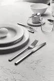 Столовая вилка Alessi, Amici, нержавеющая сталь · арт. fabr BG02/5 — фото 1