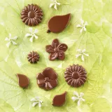 Форма для запекания Silikomart Forma do czekoladek Scg44 Choco Garden, круглая, силикон — фото 1