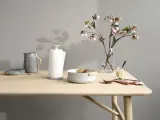 Диспенсер для бумажных полотенец Stelton Emma, дерево, серый — фото 1