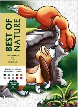 Раскраска по номерам Coloriages mystères Disney - Best of Nature
