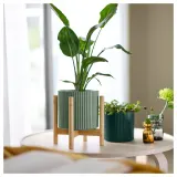 IKEA DAKSJUS (ИКЕА ДАКСЙУС) — Кашпо, светло-зелёный 15 см — фото 3