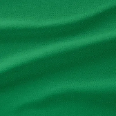 IKEA KLIPPAN (ИКЕА КЛИППАН) — Чехол на 2-местный диван, Виссле зелёный