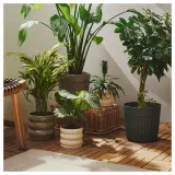 IKEA FRÄKENVÄXT (ИКЕА ФРЭКЕНВЭКСТ) — Кашпо для цветов, для дома/улицы, тёмно-зелёное 24 см — фото 6