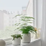 IKEA GLACIÄRBJÖRN (ИКЕА ГЛАСИЭРБЙЁРН) — Кашпо для цветочного горшка, белое 9 см — фото 2