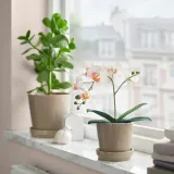 IKEA FEJKA (ИКЕА ФЕЙКА) — Искусственное растение в горшке, орхидея белая 9 см — фото 1