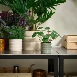 IKEA HASSELBUKETT (ИКЕА ХАССЕЛБУКЕТТ) — Кашпо для цветов, для дома и улицы/зелёное 9 см — фото 3