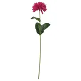 IKEA SMYCKA (ИКЕА СМЙСКА) — Искусственный цветок, для дома и улицы, хризантема/тёмно-розовый 55 см — фото 1