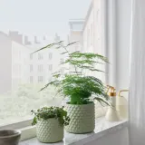 IKEA GLACIÄRBJÖRN (ИКЕА ГЛАСИЭРБЙЁРН) — Кашпо, светло-зелёный 9 см — фото 3