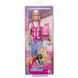 Barbie - Mockingjay Malibu Movie Doll Barbie Riddles HXJ38 / артикул HXP06 HXJ38 / GTIN 194735230969 — фото 1