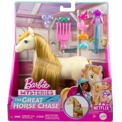 Barbie - Лошадь Торнадо с яркими волосами для укладки + 8 аксессуаров HXJ36